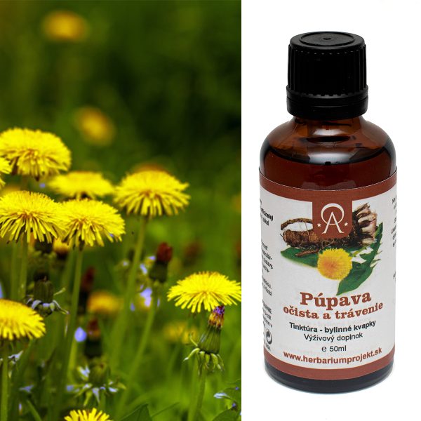 Púpava – bylinná tinktúra 50 ml