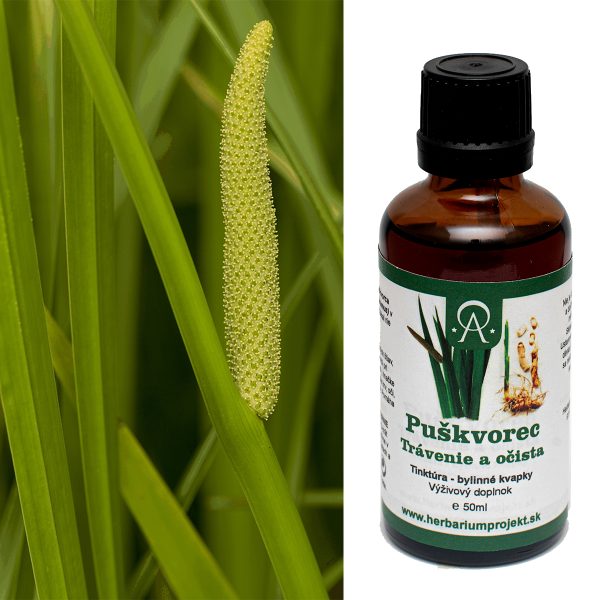 Puškvorec – bylinná tinktúra 50 ml