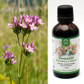 Zemežlč – bylinná tinktúra 50 ml