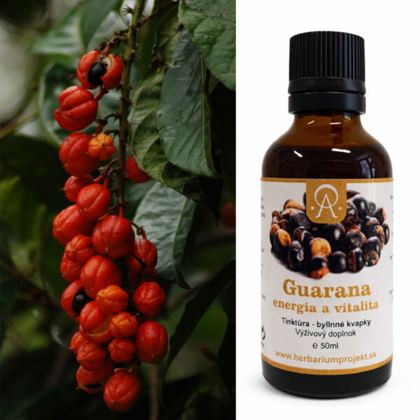 Guarana – bylinná tinktúra
