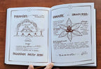 Ja som Živé bytie - kniha Slnko v srdci (Numerológia)