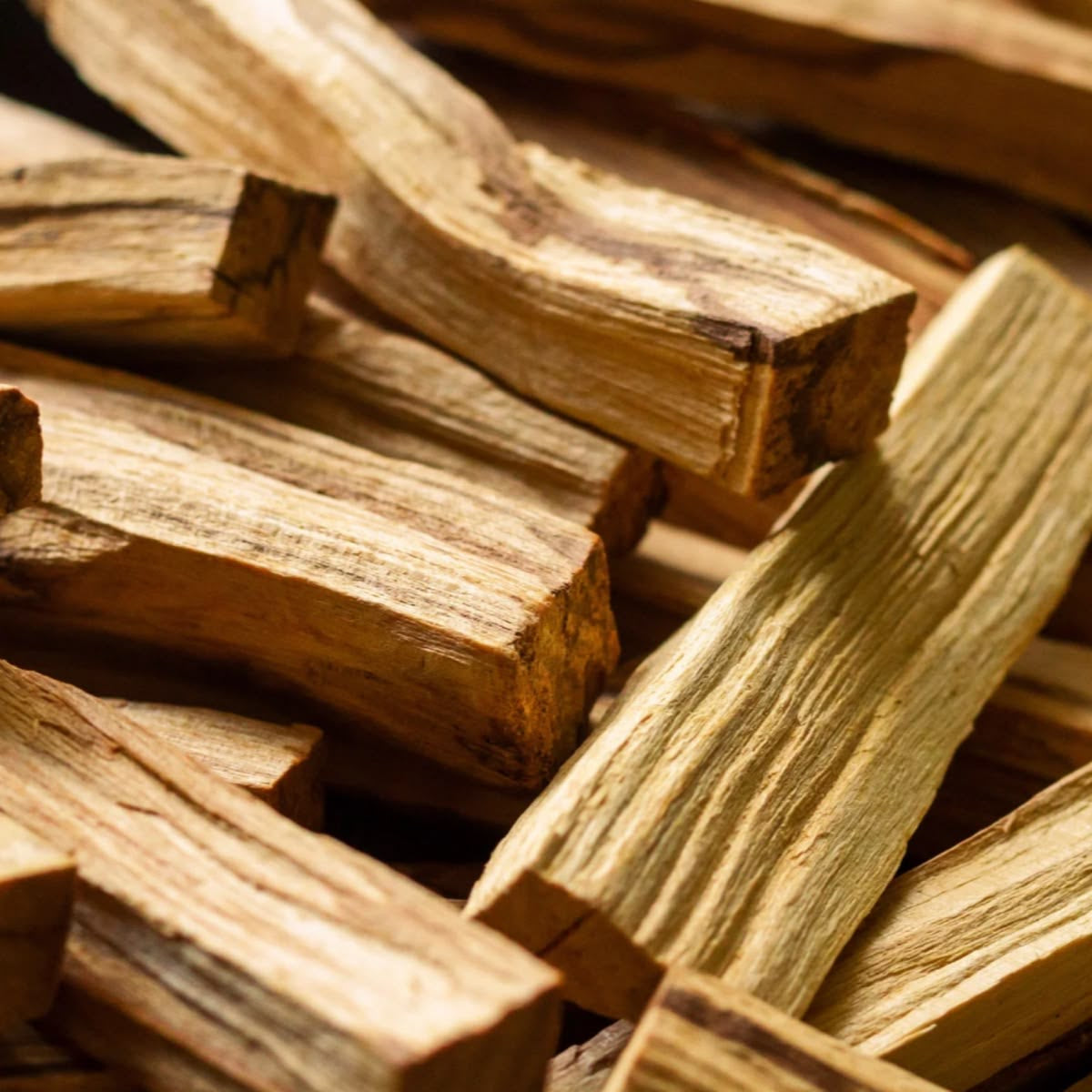 Palo Santo – posvätné drievko na očistu