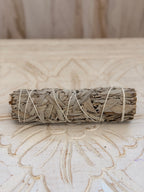 Biela šalvia zväzok na vydymovanie – White Sage (Salvia apiana)