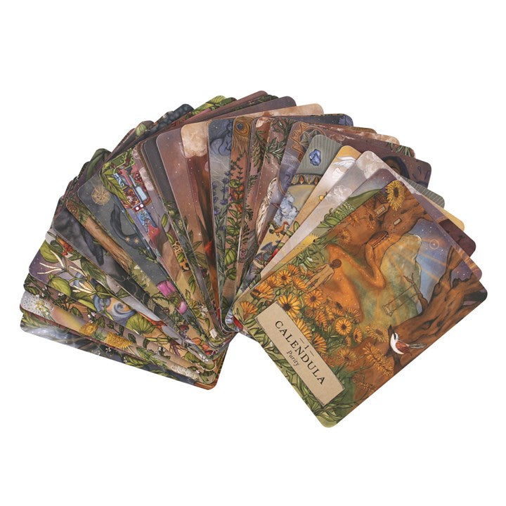 The Herbal Astrology Oracle Cards (anglická verzia)