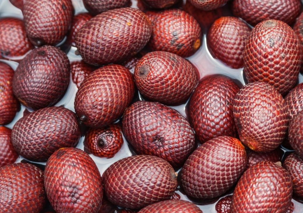 Aguaje prášok (dužina) – palma života, ovocie krásy | 50 g