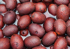 Aguaje prášok (dužina) – palma života, ovocie krásy | 50 g