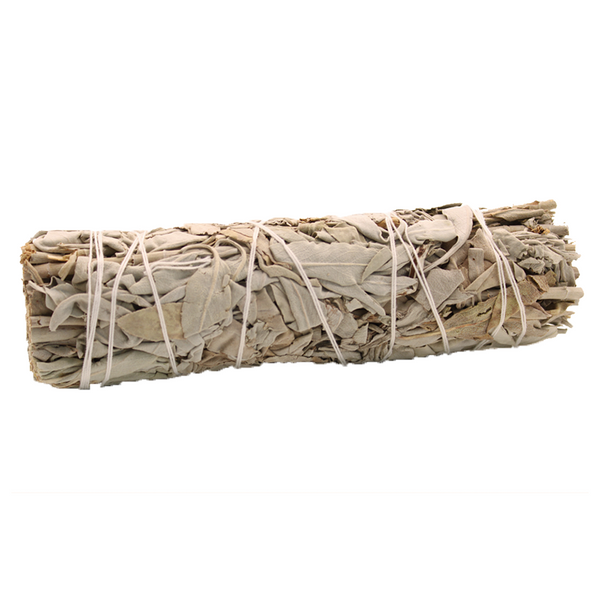 Biela šalvia zväzok na vydymovanie – White Sage (Salvia apiana)