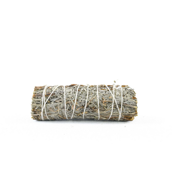 Vydymovací zväzok Modrá šalvia Shasta (Blue Sage) 11 cm