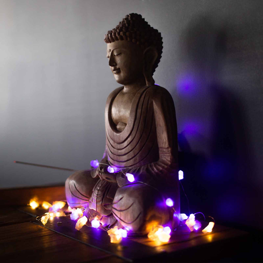 LED svetelná reťaz s ruženínom dekorácia