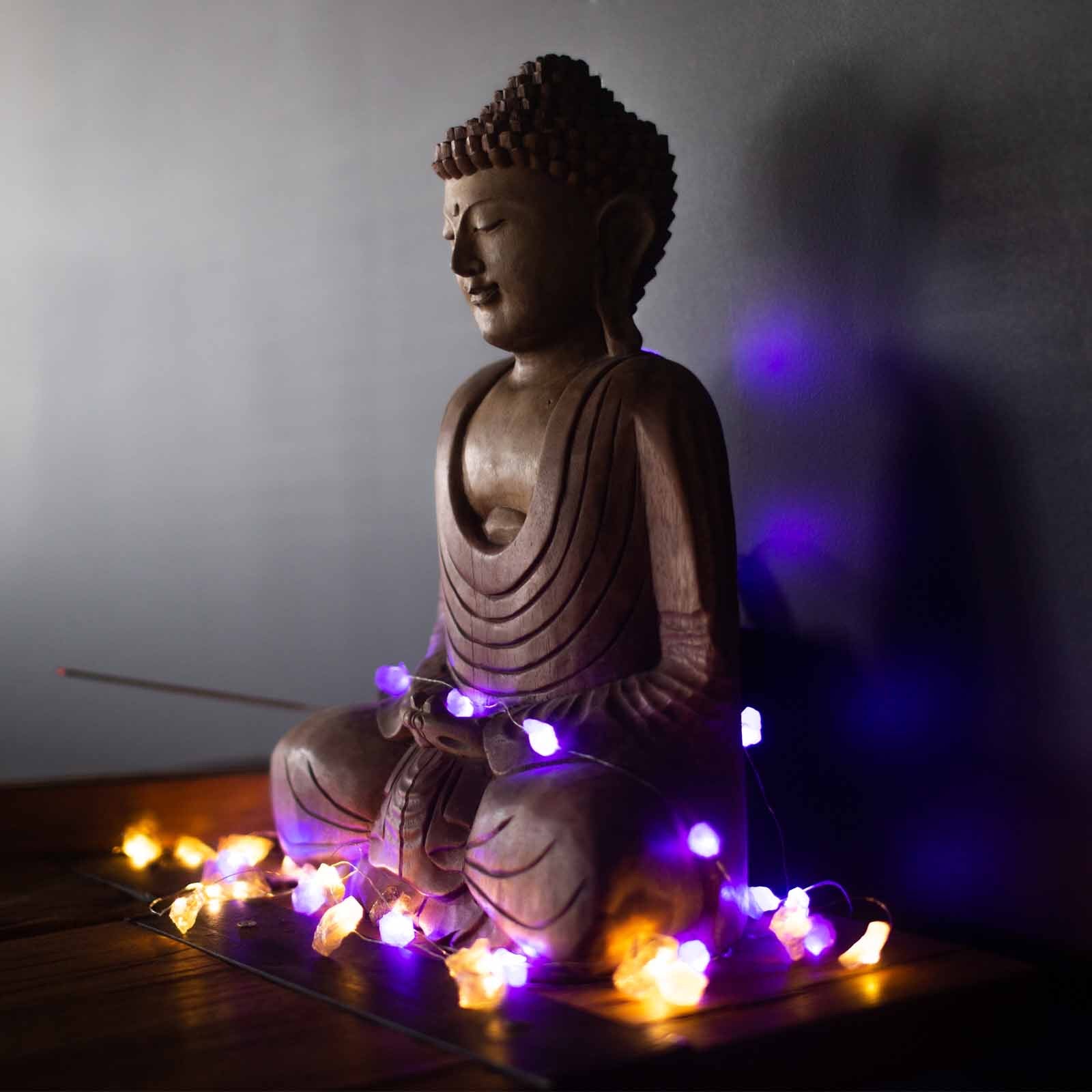 LED svetelná reťaz s ruženínom dekorácia