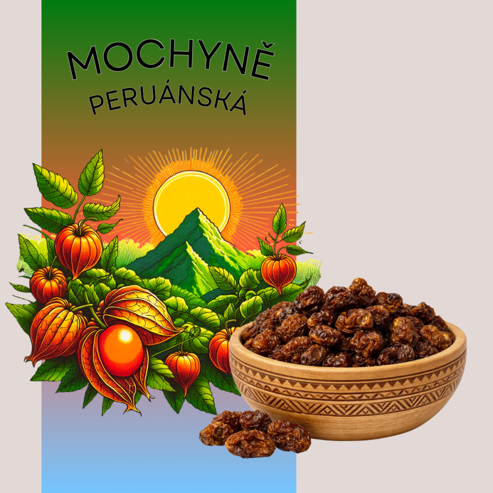 Mochyňa peruánska (Physalis) – sušené čerešne Inkov | 100 g