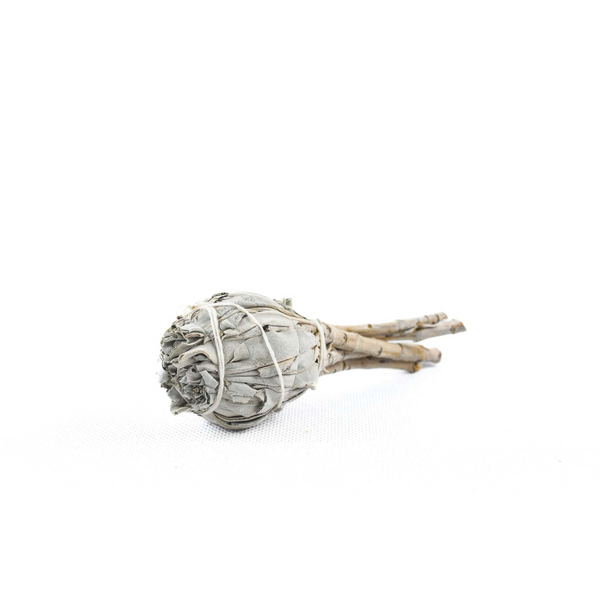 Biela šalvia fakľa na vydymovanie – White Sage (Salvia apiana)
