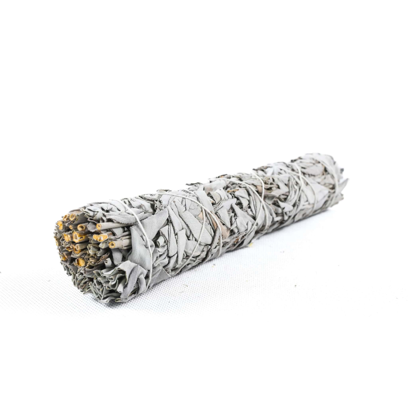 Vydymovací zväzok biela šalvia White Sage 23 cm – foto 2 – Lemuria Spirit